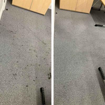 Carpets Before After 1